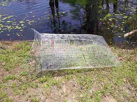 fish traps